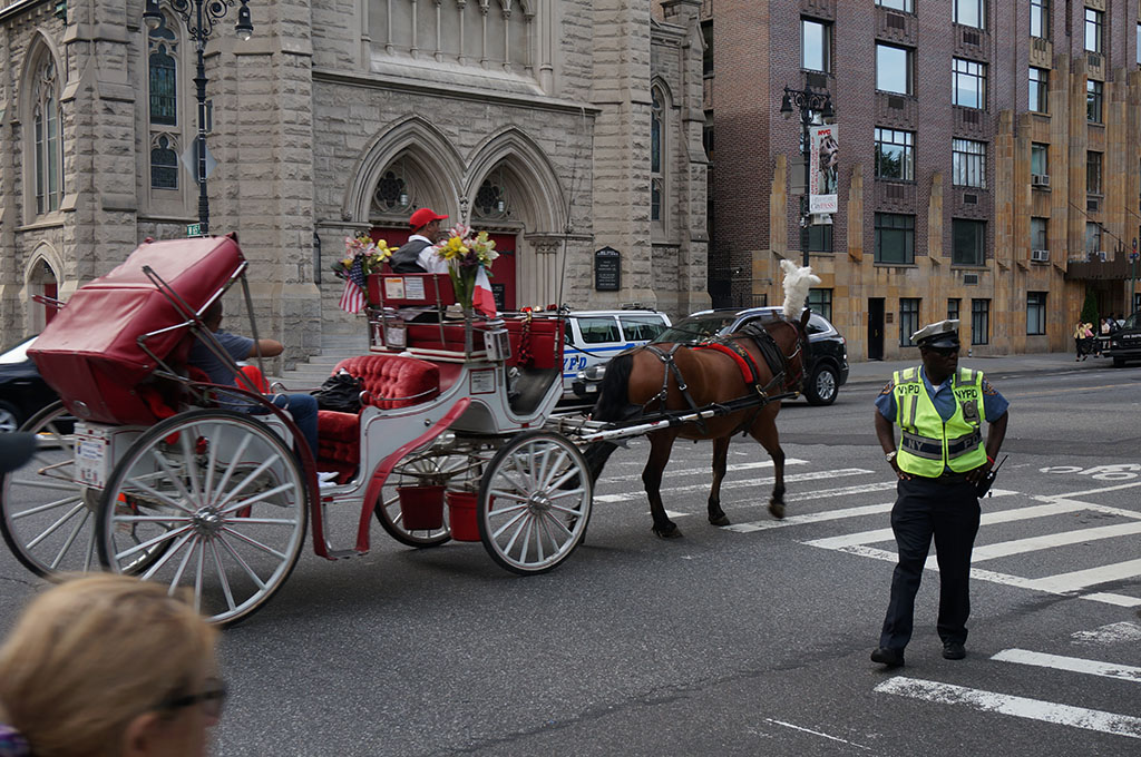 США: NY. Niagara-Falls. Washington DC. NY. Июнь 2014.